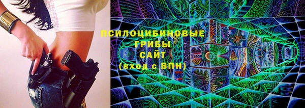 дживик Михайловск