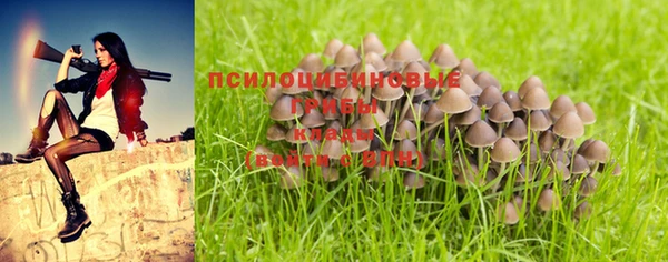 тгк Михайлов