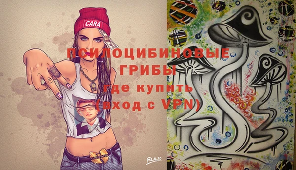 гашик Наволоки