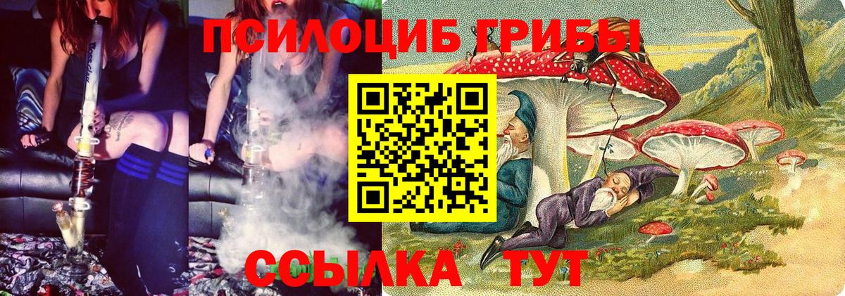 Галлюциногенные грибы GOLDEN TEACHER  Вход с VPN  Кизилюрт 