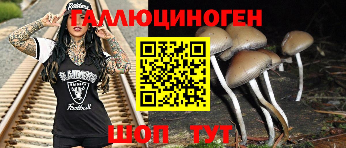 Галлюциногенные грибы прущие грибы  Псилоцибиновые грибы Magic Shrooms  Кизилюрт 