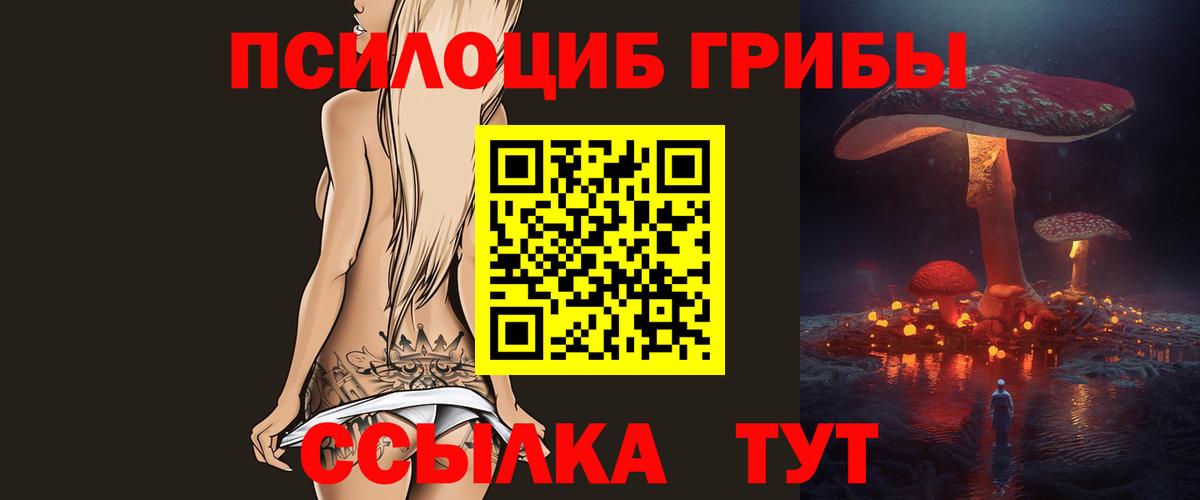 Галлюциногенные грибы GOLDEN TEACHER Кизилюрт